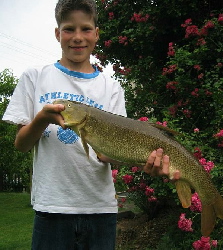 Jungfischer mit Barbe (69cm/ 3kg)