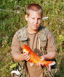 Jungfischer mit Koi (47cm)